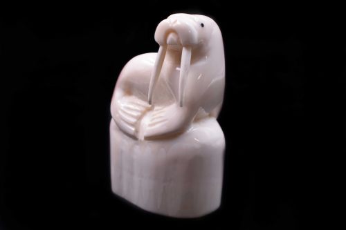 WALRUS IVORY CARVING